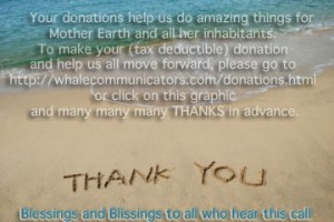 Thank you, your donation means the world to us.