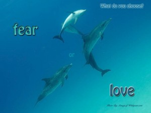 fear or love